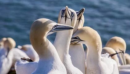 沉默版本传奇发布网站