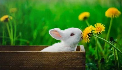 176传奇手游发布网新开服